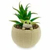 Grogu Artificial Potted Plant, Star Wars: The Mandalorian