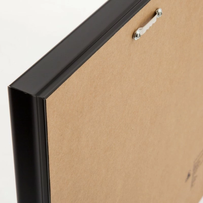 Walt Disney's Disneyland Framed Art - Disney100 - Image 2