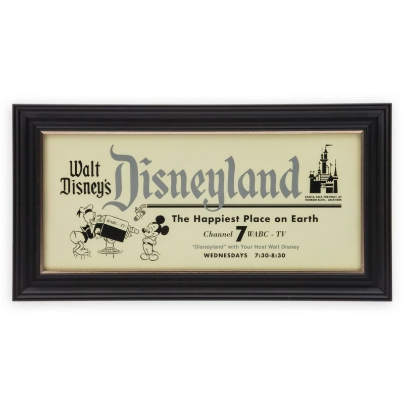 Walt Disney's Disneyland Framed Art - Disney100