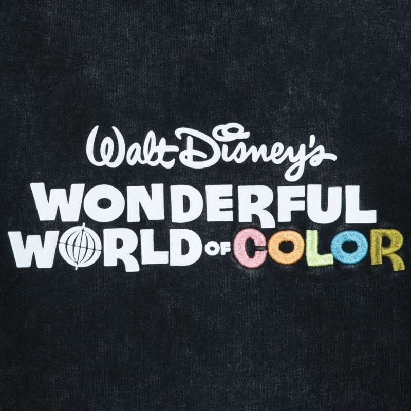 Walt Disney And Ludwig Von Drake Pullover Hoodie For Adults, Walt Disney's Wonderful World Of Color - Disney100 - Image 3