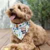 Pixar Holiday Bandana Set For Dogs